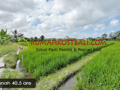 Dijual Tanah 40,5 are view sawah dan Pantai